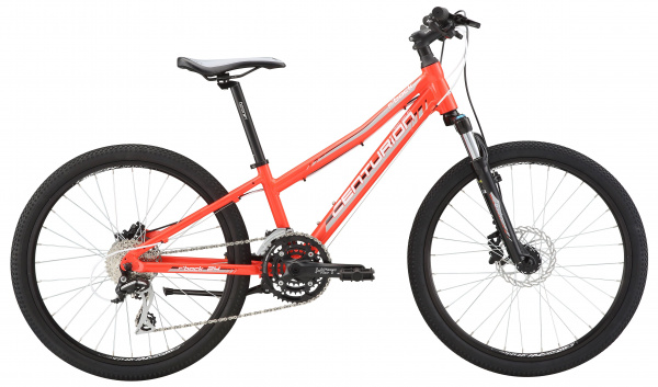 Велосипед Centurion R Bock 24-D Team (2018)