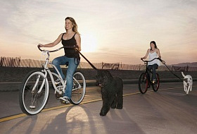 Прогулочный женский велосипед. На что обращать внимание. Прогулочный женский велосипед. На что обращать внимание.