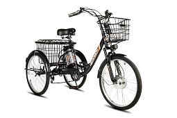 Велосипед РВЗ Чемпион 24 250Вт. 12Ач